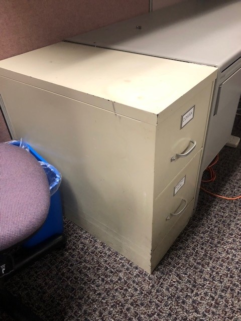 vertical, 2 drawer filing cabinet tan
