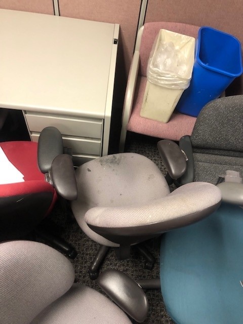 task chair gray &amp; black