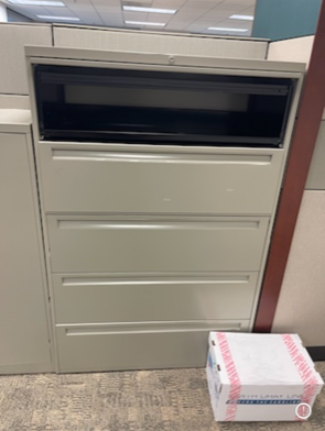 5-Drawer File