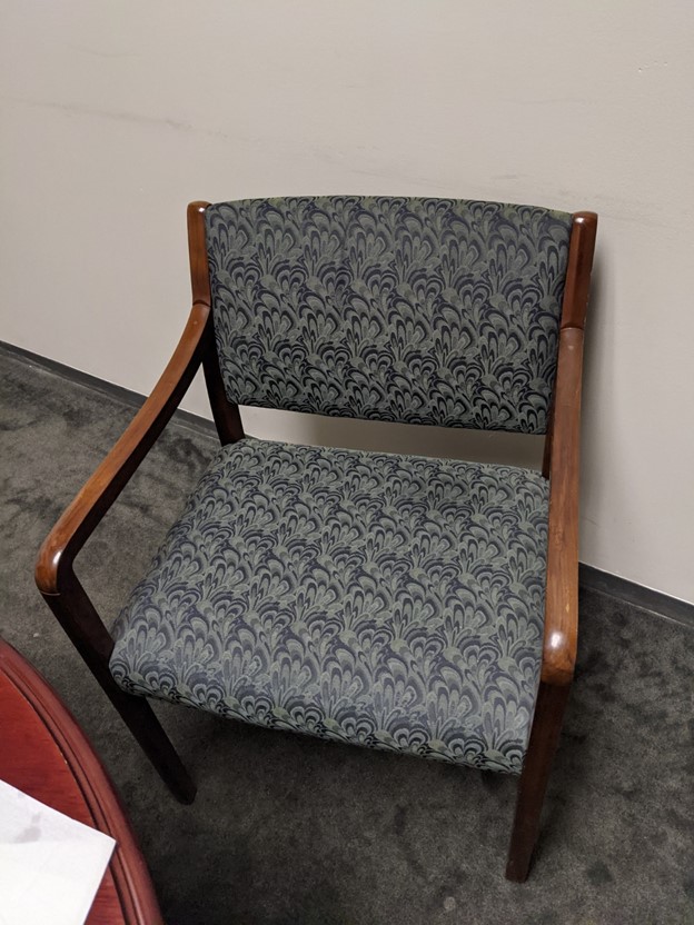 Blue Patterned Guest Chair