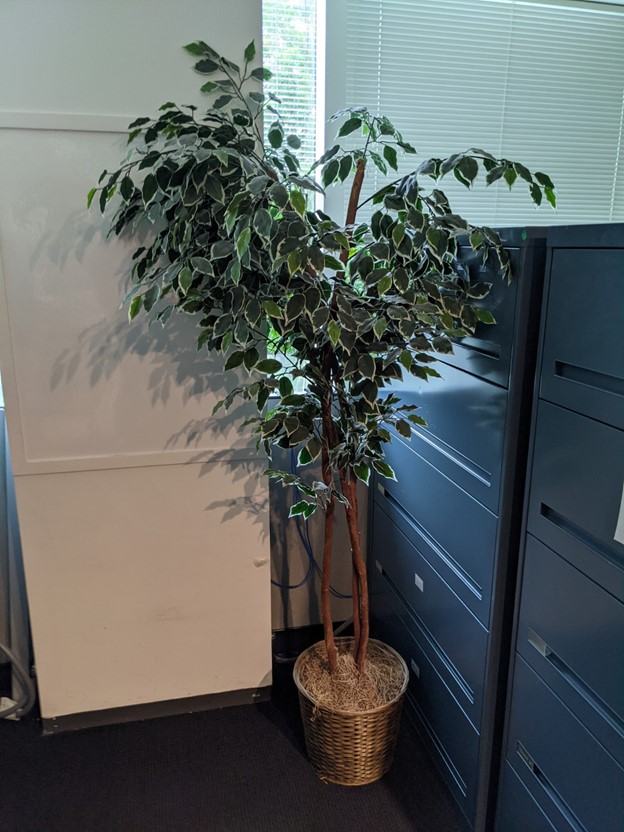 Artifical Tree (6')
