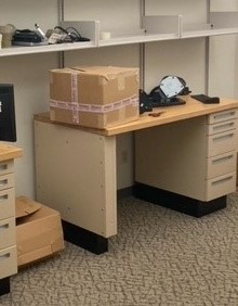 Single Desk with Ped