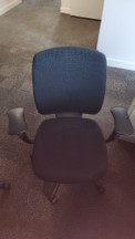 Amicus Task Chairs