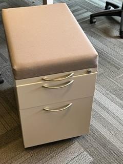 Mobile Pedestal METAL W/POWEDER BLUE CUSHION TOP