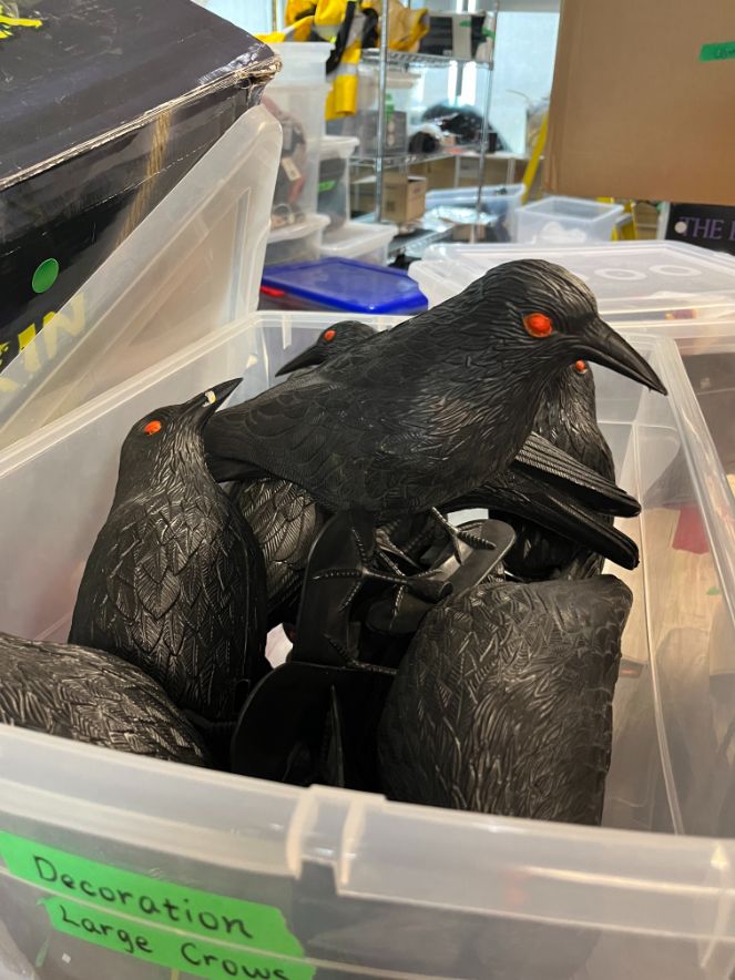 Bin of plastic crows