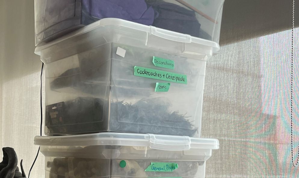 Bin of plastic cockroaches and centipedes