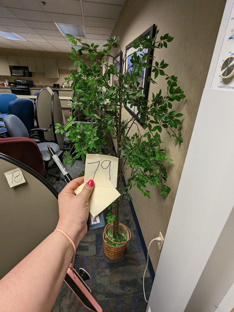 plant/tree