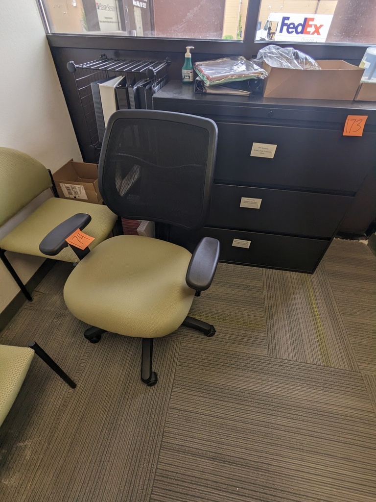 task chair, mesh back, upholstered seat, swivel base, fixed arms