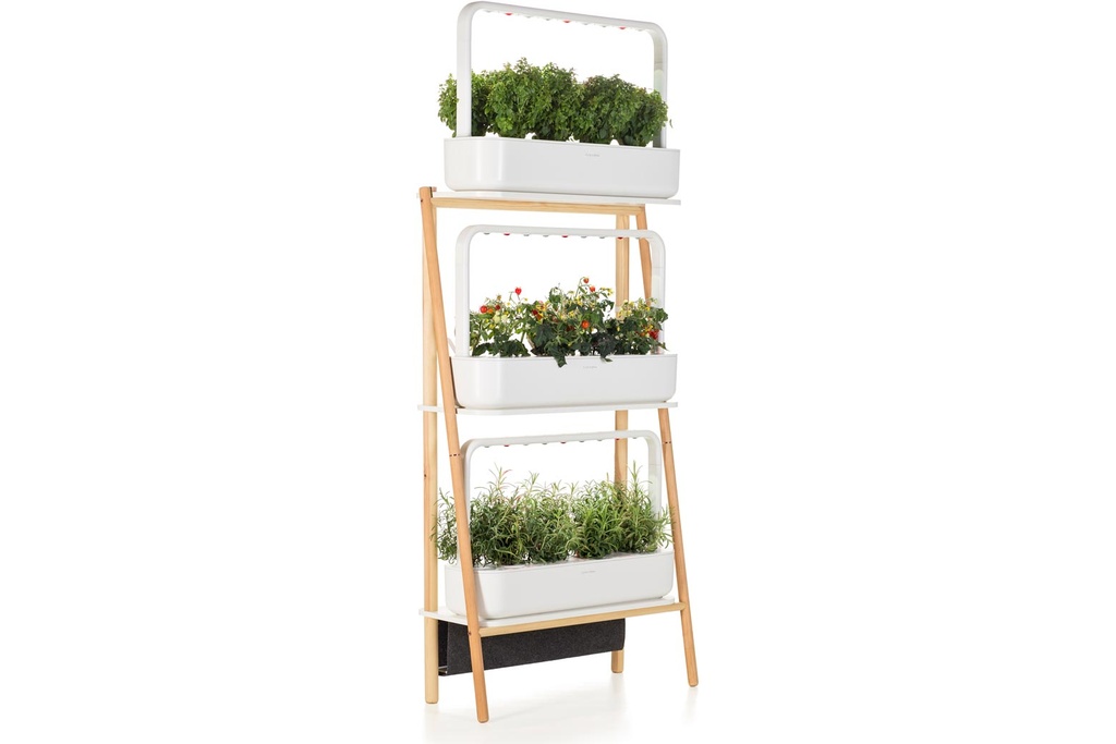 Click n' Grow Shelf Structure
