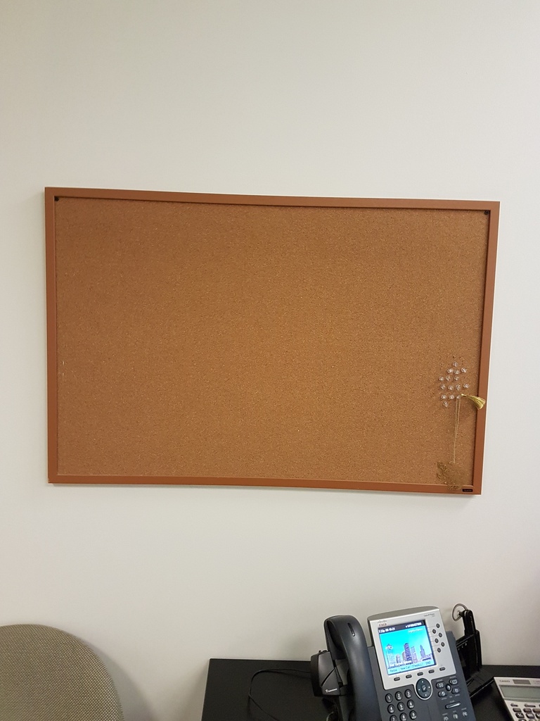 Corkboard - 3'x2'