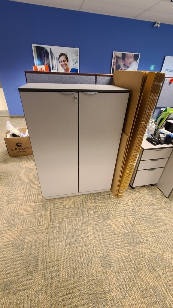 Wood stationary cabinet