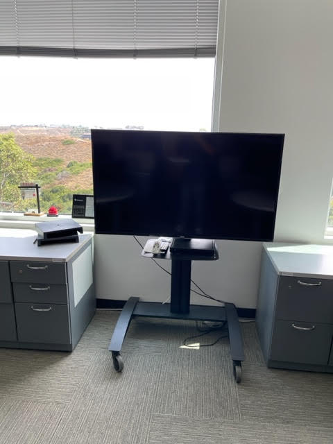 TV W/STAND