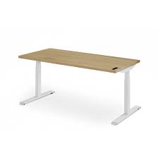 Sit/Stand desks **photo representation**