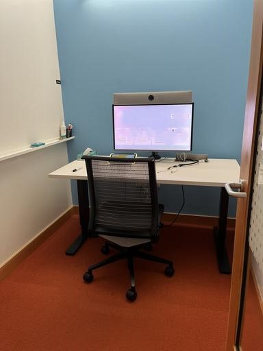 Sit Stand Desk 4.5'(30x54)