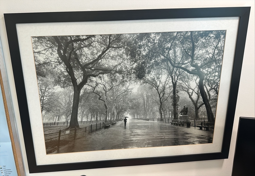 Framed print | Impressão emoldurada