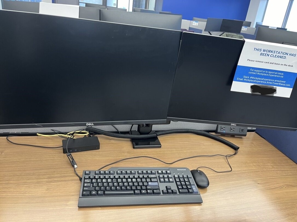 Dell Monitors