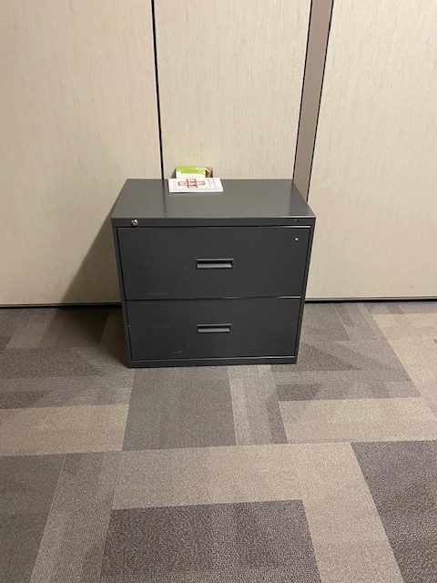 2 Drawer Lateral File 36"