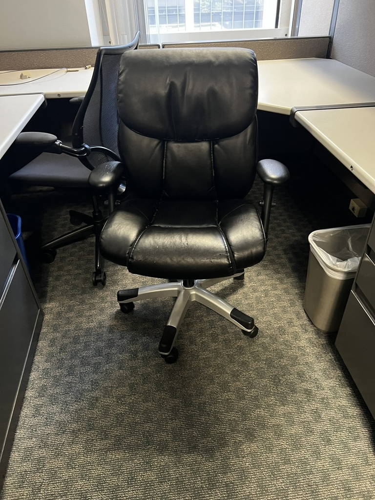 Black Leather Chairs