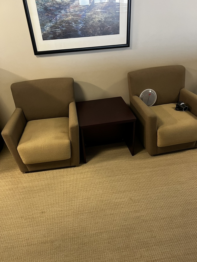 Brown Lounge Chair