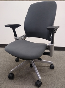 Leap, Gray Seat/Slvr frame Task Chair