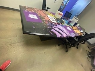 Conference Table, eyeshawdow print
