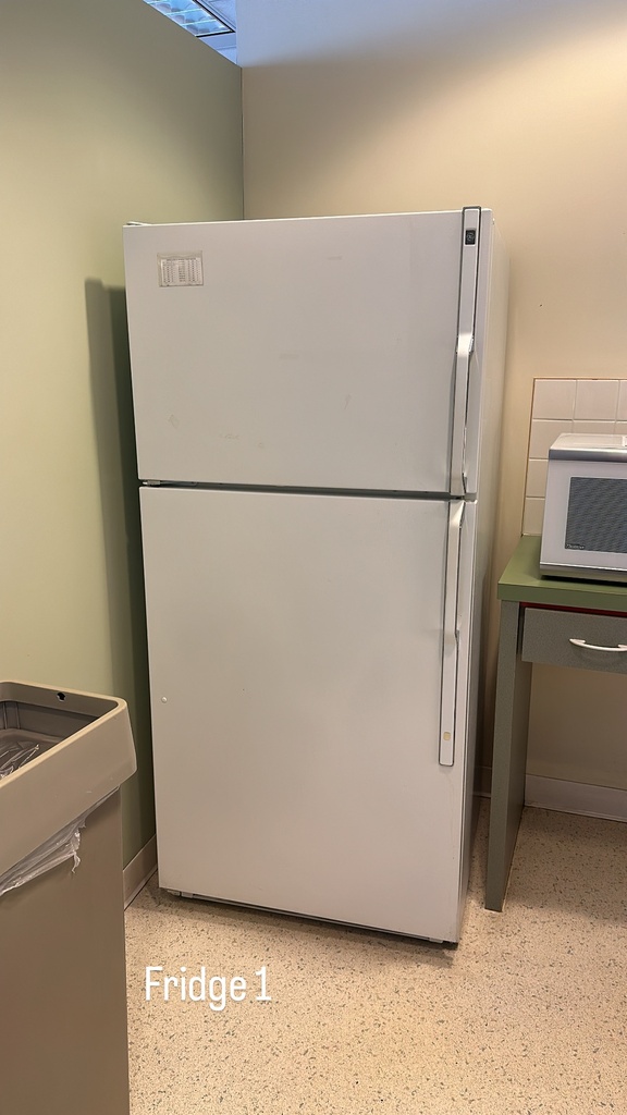 Fridge #1