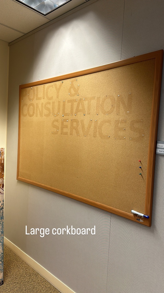 Large Corkboard