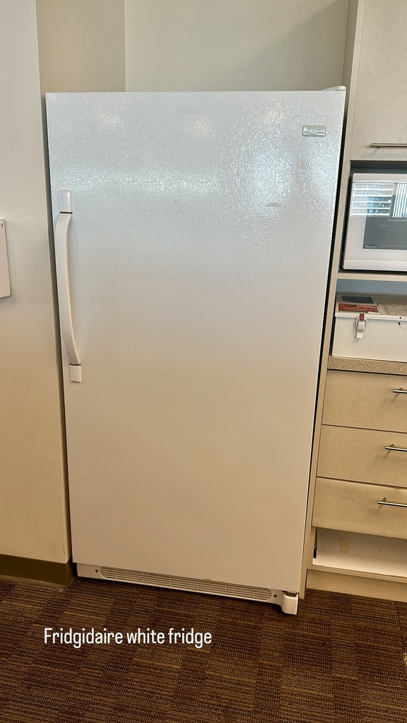 White fridge