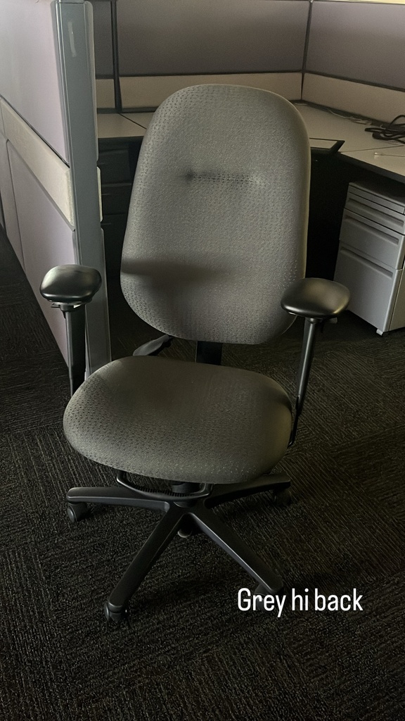 Grey Ergocentric Task Chair