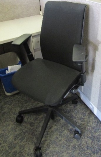 Black Amia Task Chair
