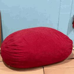 Bean Bag RED (84Wx60Dx30H)