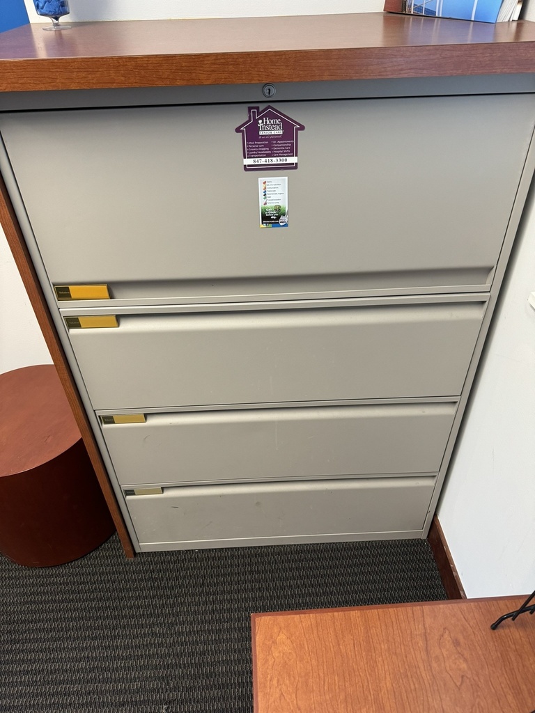 Gray 4-Drawer File Cabinet 