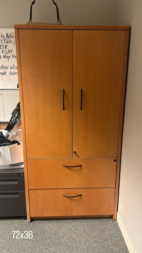 Cabinet Wood - Tall (2 doors)