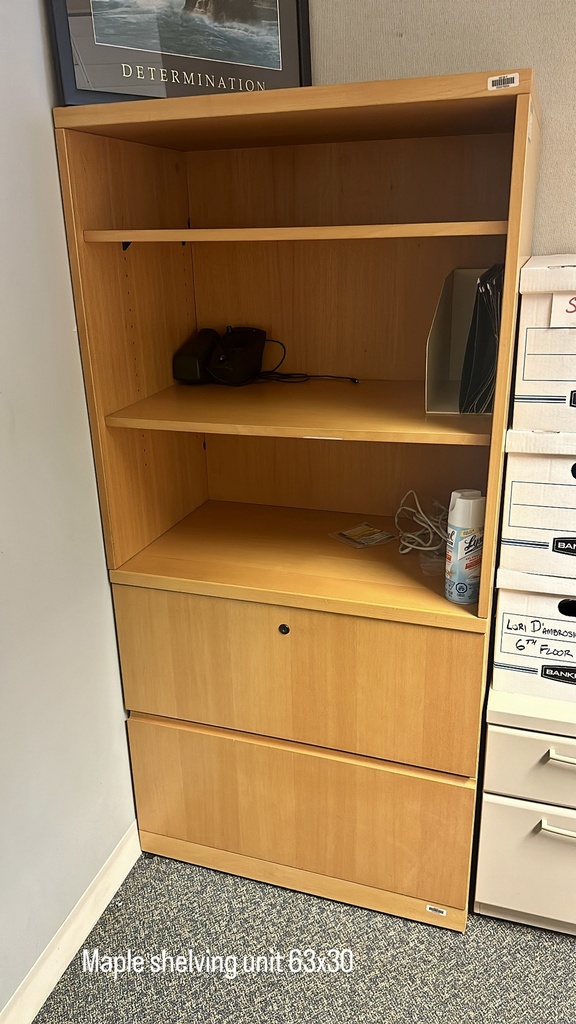 Bookcase - 5+ Shelves