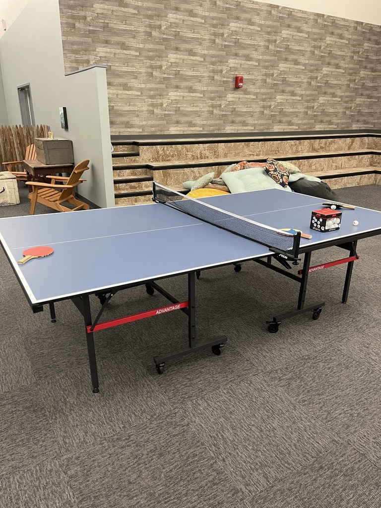 Ping Pong Table