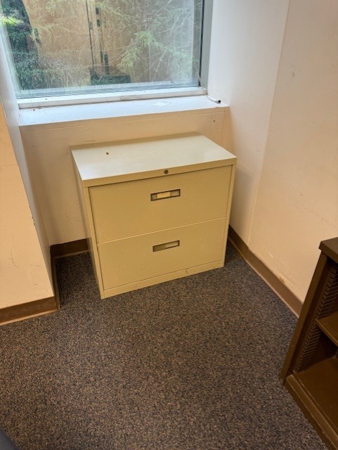 Filing Cabinet Lateral 2 Drawer Brown, Beige and White