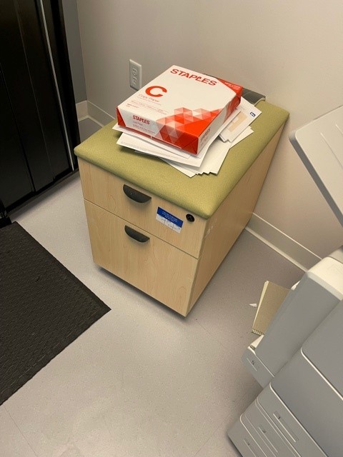 Wood Mobile Storage Pedestal