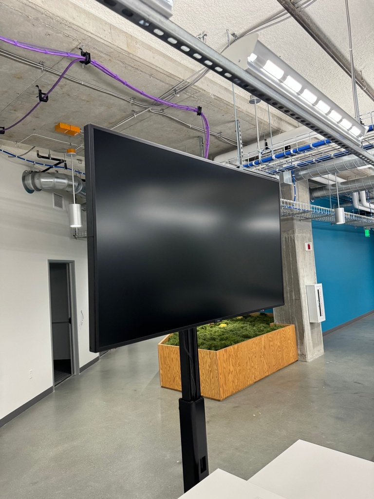 TV 55" On Stand