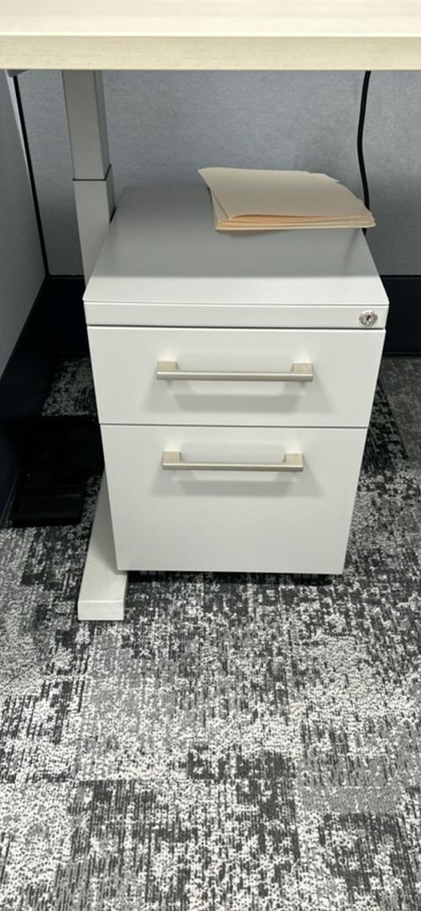 Mobile Pedestal