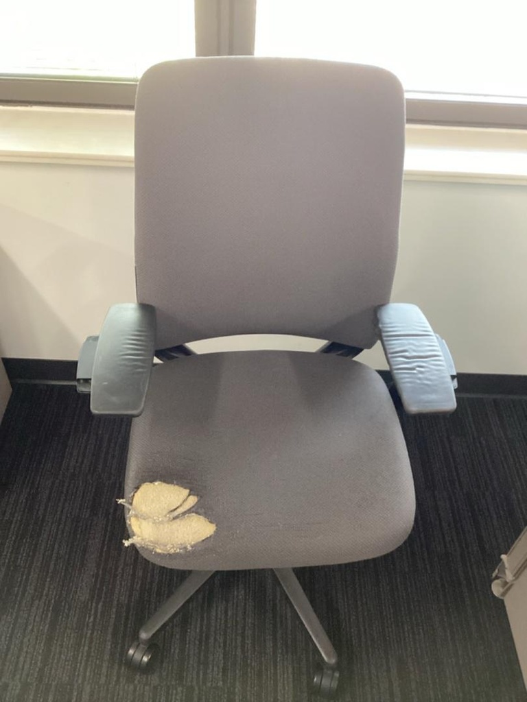 Amia Chair (Not Damaged)