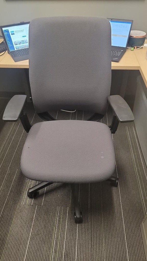 Task Chair - minor stains