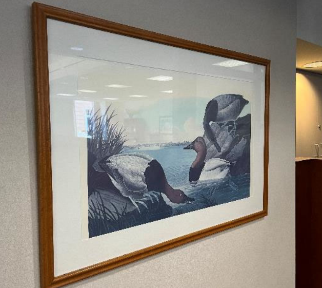 Artwork - Ducks