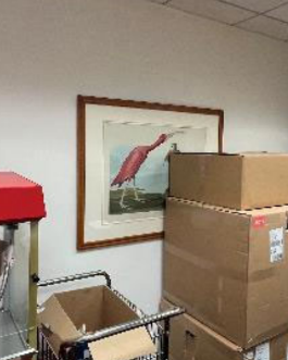 Artwork - Bird