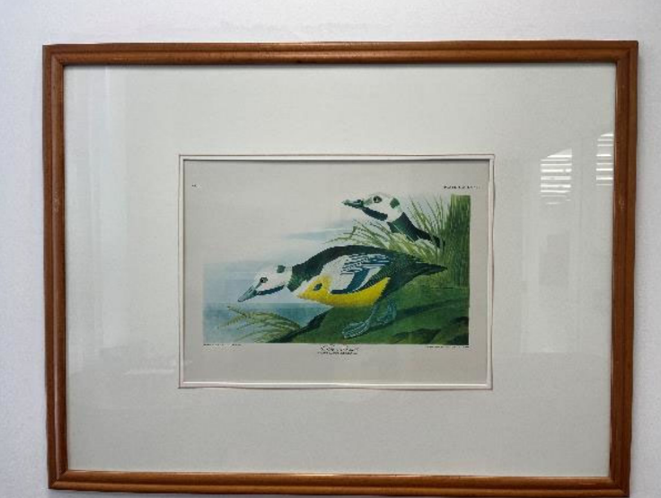 Artwork - Bird