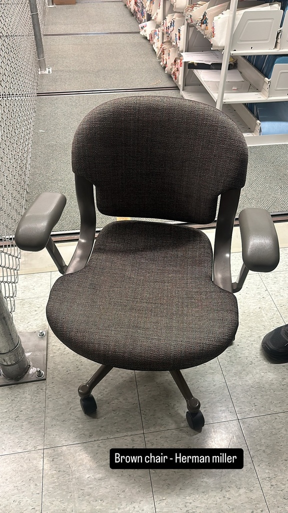 Herman Miller Brown Chair