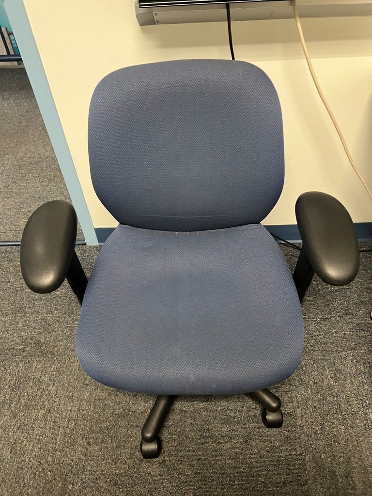 Turnstone Task Chair