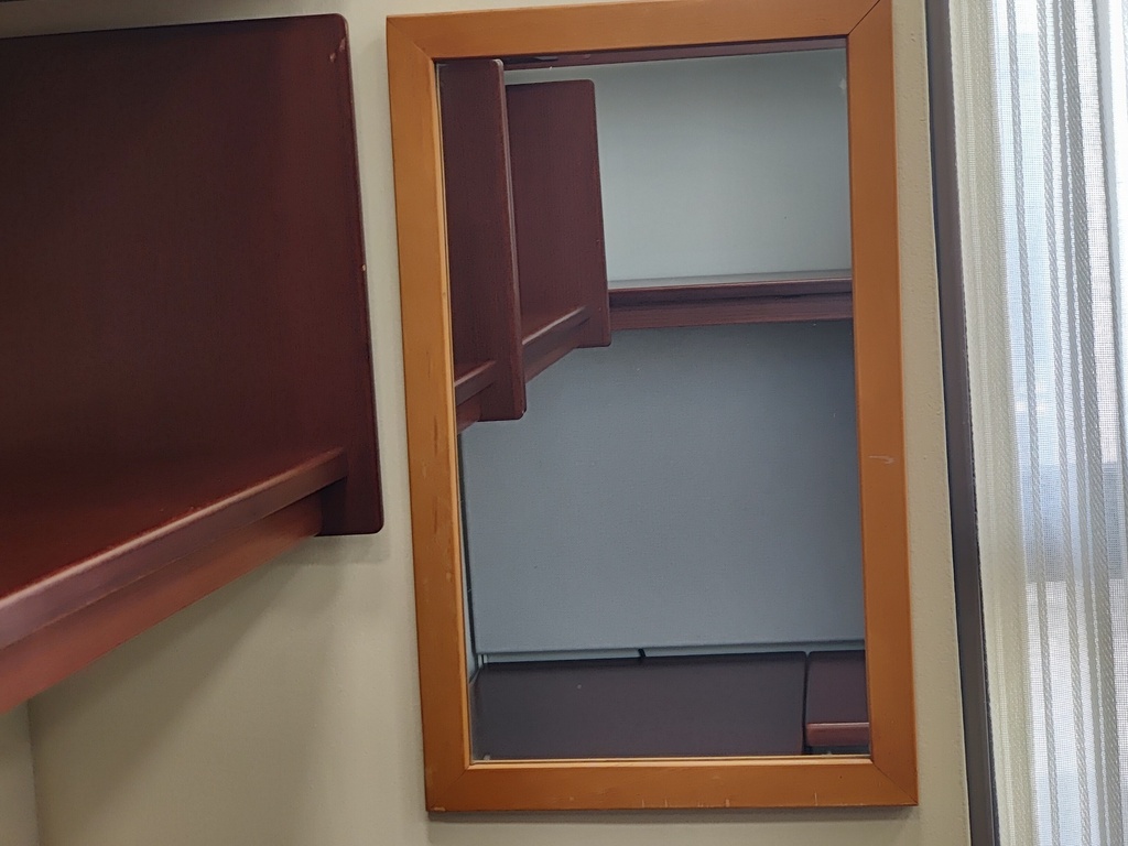Mirror 26x16