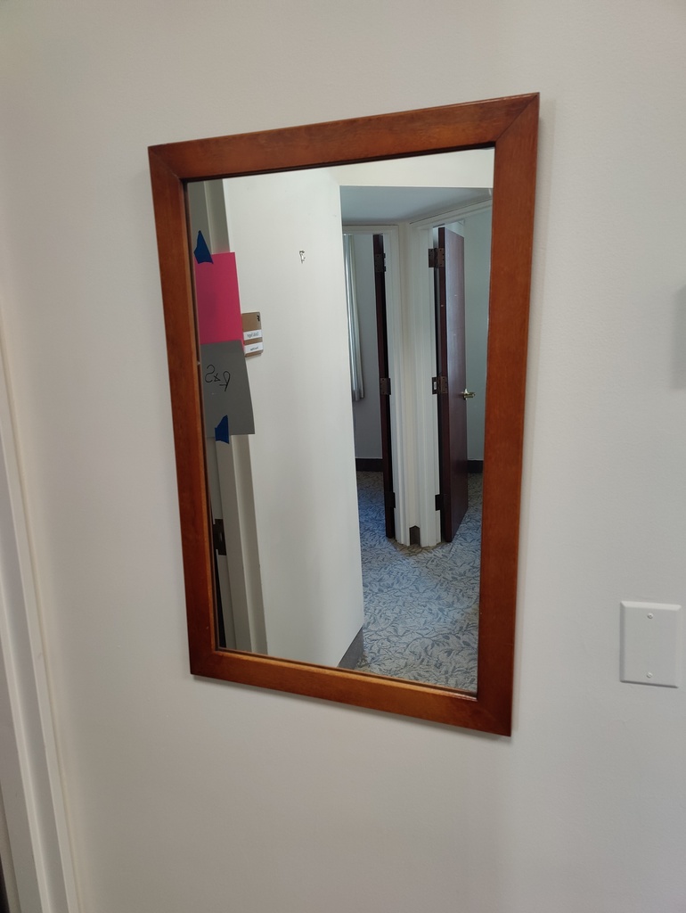 Mirror 26x17