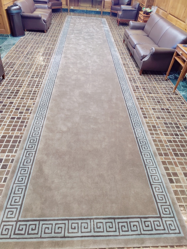 Rug 30’x6’