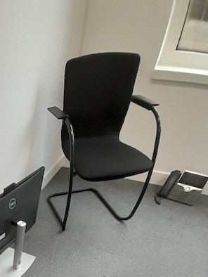 General meeting chair